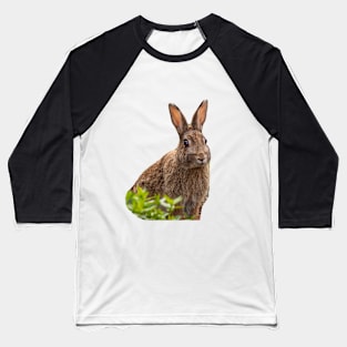 Alert Wild Rabbit Baseball T-Shirt